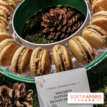 Bûche et création de Noël de Pierre Hermé 2019 et Galette des rois 2020