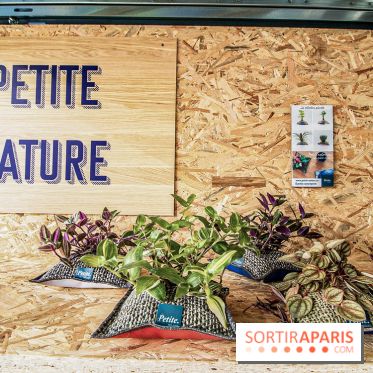 Urban Week 2019, le festival de street culture à La Défense 