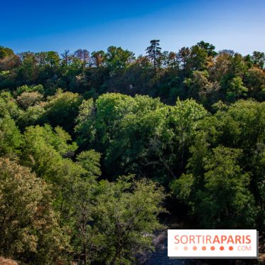 Le Château de Vault-de-Lugny - excursions dans la région