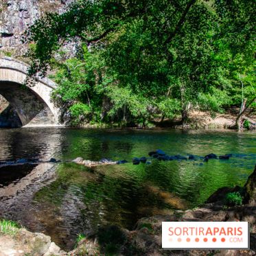 Le Château de Vault-de-Lugny - excursions dans la région