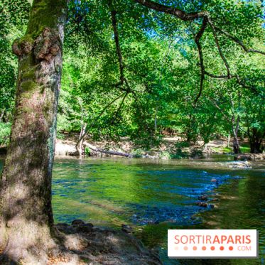 Le Château de Vault-de-Lugny - excursions dans la région