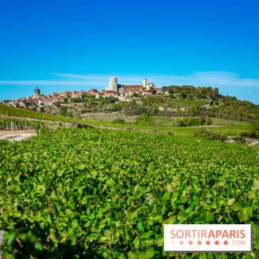 Le Château de Vault-de-Lugny - excursions dans la région