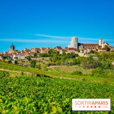 Le Château de Vault-de-Lugny - excursions dans la région