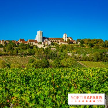 Le Château de Vault-de-Lugny - excursions dans la région