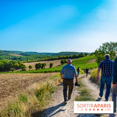 Le Château de Vault-de-Lugny - excursions dans la région
