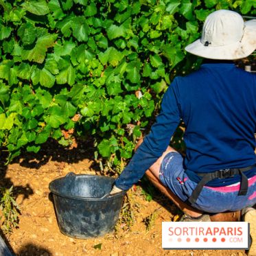 Le Château de Vault-de-Lugny - excursions dans la région