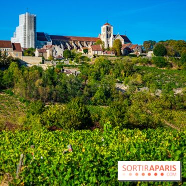 Le Château de Vault-de-Lugny - excursions dans la région