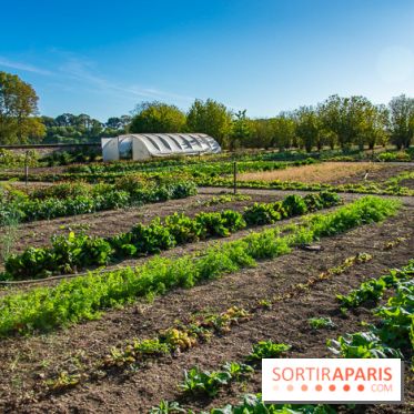 Le Château de Vault-de-Lugny, un écrin royal à deux heures de Paris