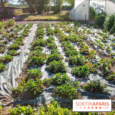 Le Château de Vault-de-Lugny, un écrin royal à deux heures de Paris