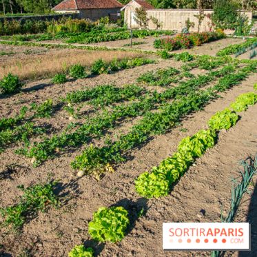Le Château de Vault-de-Lugny, un écrin royal à deux heures de Paris