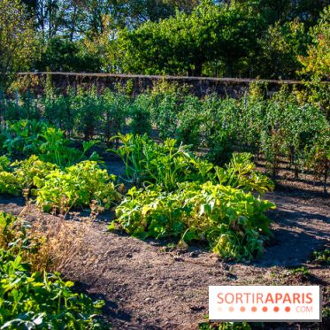 Le Château de Vault-de-Lugny, un écrin royal à deux heures de Paris