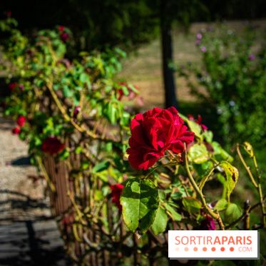 Le Château de Vault-de-Lugny, un écrin royal à deux heures de Paris