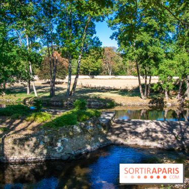 Le Château de Vault-de-Lugny, un écrin royal à deux heures de Paris