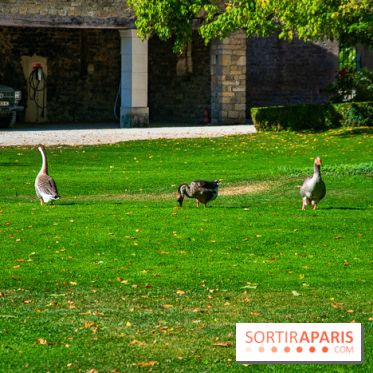 Le Château de Vault-de-Lugny, un écrin royal à deux heures de Paris