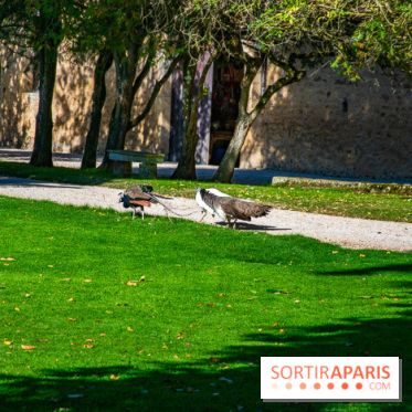 Le Château de Vault-de-Lugny, un écrin royal à deux heures de Paris