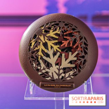 Les Bûches de Noël de la Maison du Chocolat, les photos