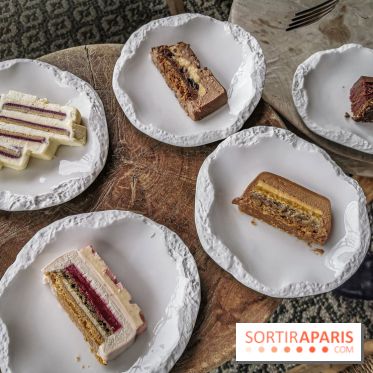 Les bûches de Noël 2019 du groupe Evok by Yann Brys - les photos