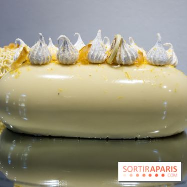 Bûches de Noël 2019 by Hugo & Victor, les photos