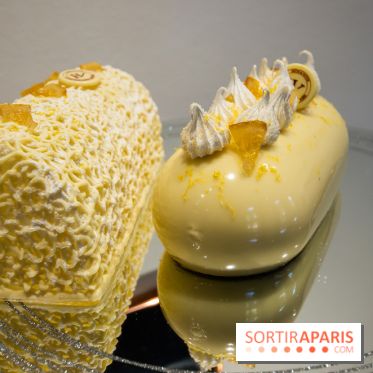 Bûches de Noël 2019 by Hugo & Victor, les photos