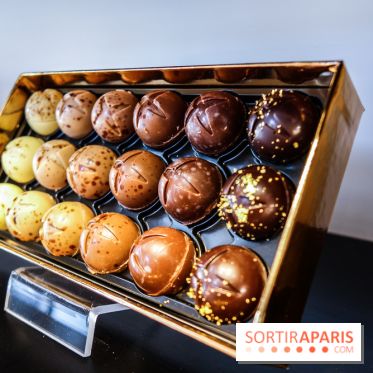 Bûche et chocolats de Noël 2019, galette des rois 2020 by Pierre Marcolini, les photos