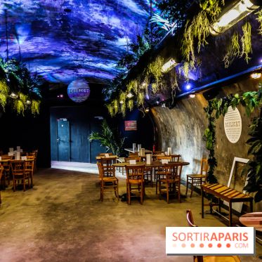 Bar le Scilicet, les photos