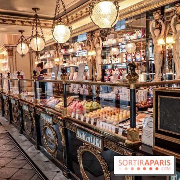 Les Bûches de Noël 2019 de Café Pouchkine -  les photos