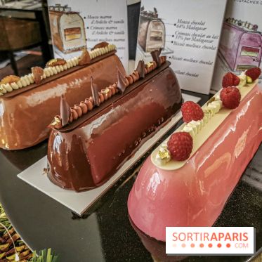 Les Bûches de Noël Dalloyau 2019 by Jeremy Del Val - Photos