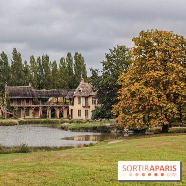 Le parcours des Arbres Admirables dans le domaine du château de Versailles