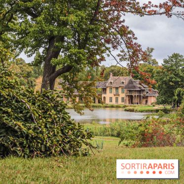 Le parcours des Arbres Admirables dans le domaine du château de Versailles
