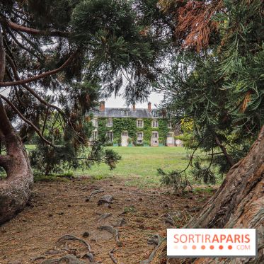 Le parcours des Arbres Admirables dans le domaine du château de Versailles