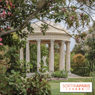 Le parcours des Arbres Admirables dans le domaine du château de Versailles