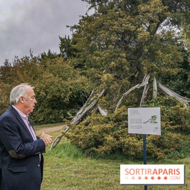 Le parcours des Arbres Admirables dans le domaine du château de Versailles