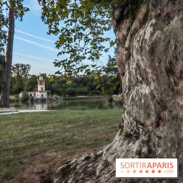 Le parcours des Arbres Admirables dans le domaine du château de Versailles