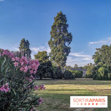 Le parcours des Arbres Admirables dans le domaine du château de Versailles