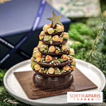 Les Bûches de Noël 2019 de Christophe Michalak