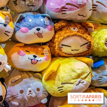 Paris Manga et Sci-Fi Show octobre 2019, programme et animations