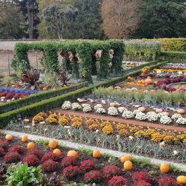 Le Jardin de l'Automne du Château de Cheverny