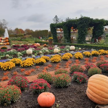 Le Jardin de l'Automne du Château de Cheverny