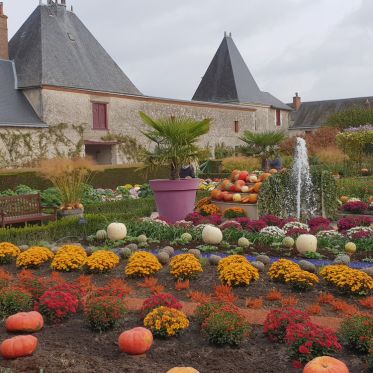 Le Jardin de l'Automne du Château de Cheverny