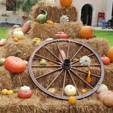 Le Jardin de l'Automne du Château de Cheverny