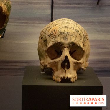 Vampires, de Dracula à Buffy, l'exposition à la Cinémathèque