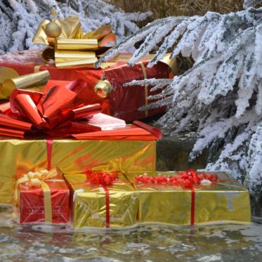 Noël 2019 au Château de Cheverny