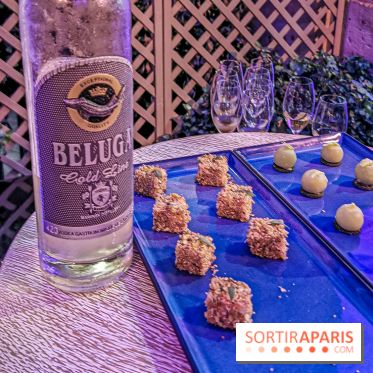 Les Ambassadeurs, le nouveau bar du Crillon