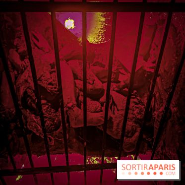 Peur sur le Parc 2019, Halloween au Parc Astérix les photos