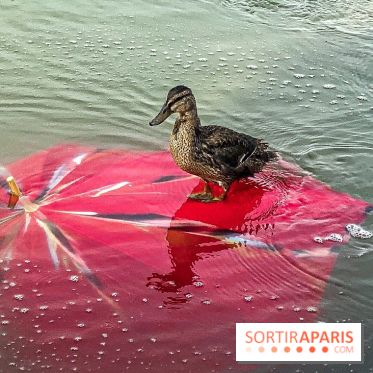 Exposition FIAC au Jardin des Tuileries 2019