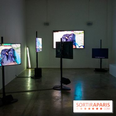 Futur, Ancien, Fugitif, l'exposition au Palais de Tokyo - nos photos