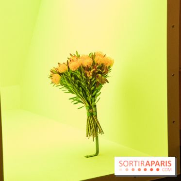 Futur, Ancien, Fugitif, l'exposition au Palais de Tokyo - nos photos