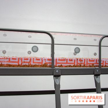 Futur, Ancien, Fugitif, l'exposition au Palais de Tokyo - nos photos