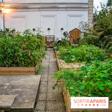 L'Hôtel des Grands Boulevards inaugure son potager suspendu