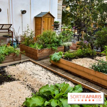 L'Hôtel des Grands Boulevards inaugure son potager suspendu